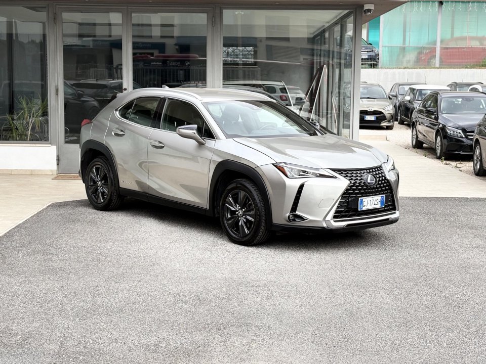LEXUS UX vers. UX Hybrid Business