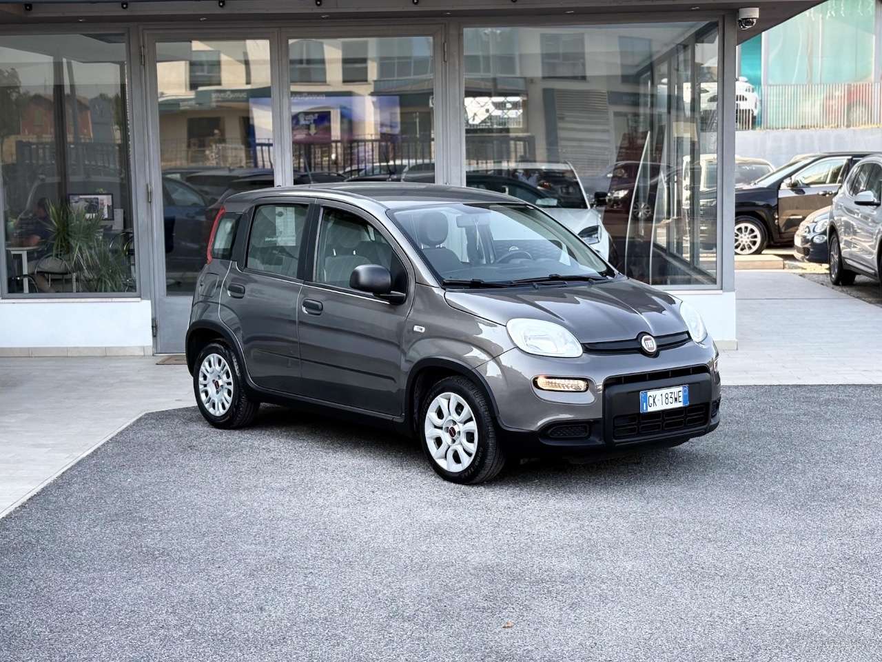 Fiat - Panda