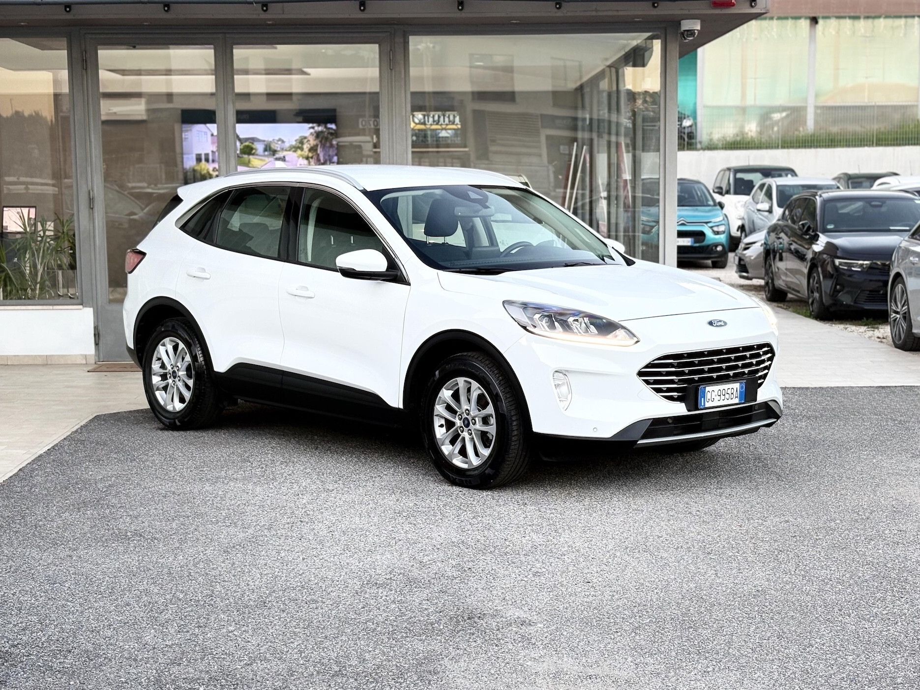 Ford - Kuga